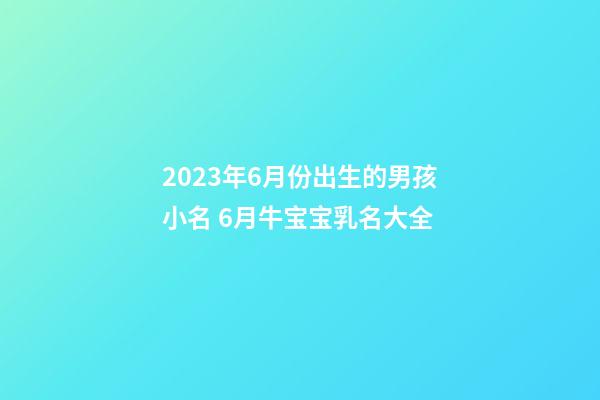 2023年6月份出生的男孩小名 6月牛宝宝乳名大全